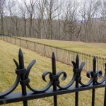 Wrought iron fence