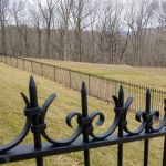 Wrought iron fence