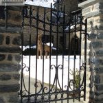 Wrought iron gate for walkway entrance Wrought iron gate for walkway entrance