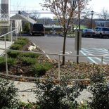 Stainless steel walkway railing Stainless steel walkway railing