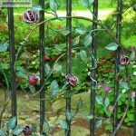 Decorative wrought iron garden gate Decorative wrought iron garden gate